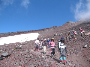 IMG_0500.jpg