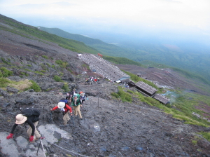 IMG_1416.jpg