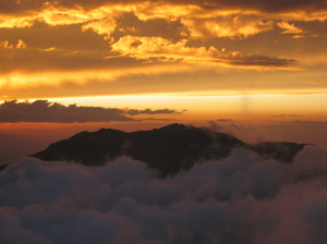 IMG_4842.jpg
